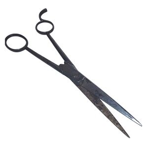 Antique Vintage Scissors Shears 7.75" JR Borowski Buffalo NY TwinsOaks Germany